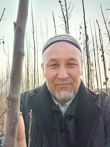 Малина: Малина — 6