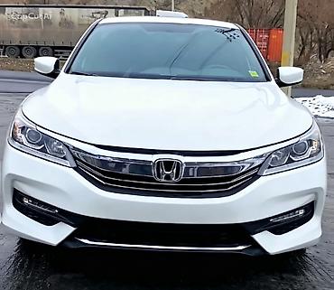 авто масла: Honda Accord: 2017 г., 2.4 л, Вариатор, Бензин, Седан — 1