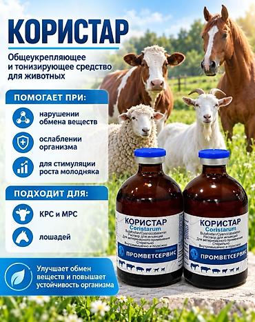 🐄 КОРИСТАР | AGRALIS Поддержка организма, обмена веществ и аппетита