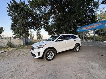 отдаю дешево: Kia Sorento: 2020 г., 2.4 л, Автомат, Бензин, Кроссовер — 6