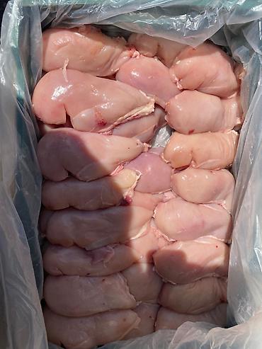 belçika avçarkası: Gündəlik halal kəsimnən çıxan sveji məhsullarımızla marağlananlar — 1