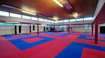 Другое для спорта и отдыха: Дзюдо татами Мат Мат Мат 1)Дзюдо маты 2)Маты борцовские UWW — 12