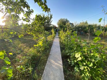 Продажа домов: Дом, 120 м², 5 комнат, Собственник, Косметический ремонт — 2