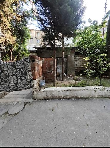 goycayda tecili ev satilir: Elmler metrosuna 5_6 deqiqeliy mesafede 53 nomreli mektebin — 8