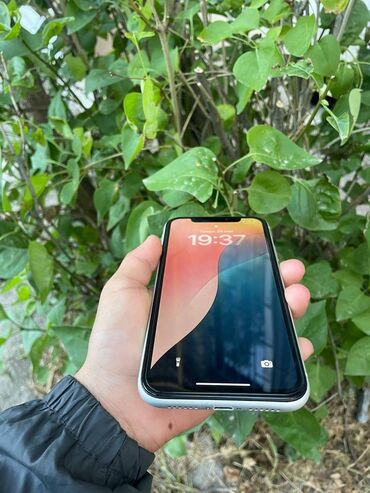 Apple iPhone: IPhone Xr, Б/у, 128 ГБ, Белый, Чехол, 76 %