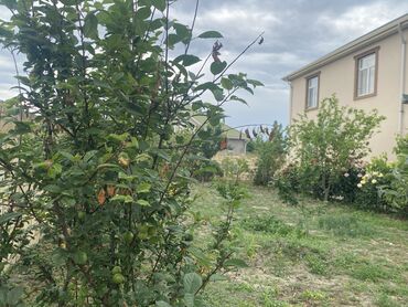 Həyət evləri və villaların satışı: 5 otaqlı, 112 kv. m, Kredit var, Yeni təmirli — 16