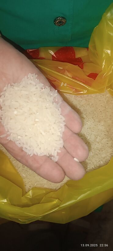 рис продаю: Рис шлифованный, длиннозерный. ташкентский - Фракция: ровные