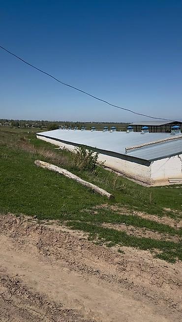 мастерские: Продается! Срочно! Сарай кошара. Село 11-жылга Чуй Токмок! Свет вода — 2