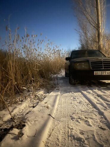 Mercedes-Benz: Mercedes-Benz W124: 1989 г., 2.3 л, Автомат, Бензин, Седан