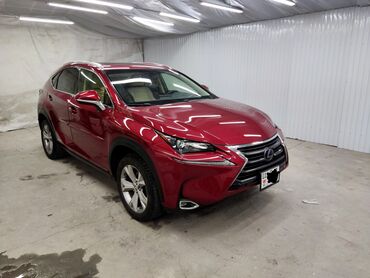 Lexus: Lexus NX: 2017 г., 2.5 л, Гибрид, Кроссовер