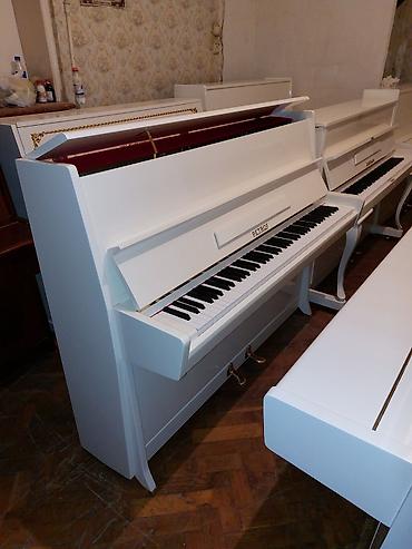 Musiqi alətləri: Pianino PETROF Cexiya stehsalı. İdeal vəziyyədə. Cadrılma və köklənmə — 2