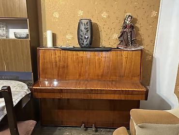 pianolar: Belarus fortepiano - Model: “Беларусь” - Korpus: laklı təbii ağac — 3