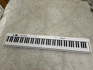 Musiqi alətləri: Piano, Rəqəmsal, Yeni — 2