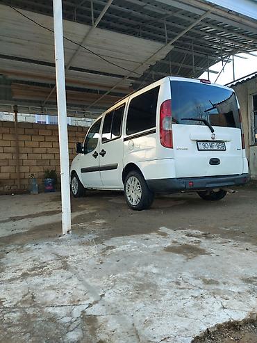 Fiat: Fiat Doblo: 1.9 l | 2009 il 360000 km Van/Minivan — 9