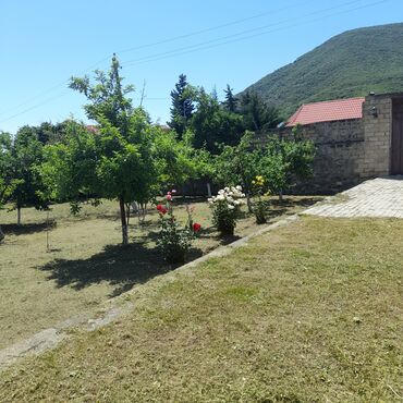 Günlük kirayə evlər: 250 kv. m, 5 otaqlı, Artezian quyusu, Kombi, İnternet -da lalafo.az — 25 Günlük kirayə evlər: 250 kv. m, 5 otaqlı, Artezian quyusu, Kombi, İnternet — 25