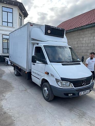 Аренда рефрижератора: Рефрижератор Mercedes-Benz Sprinter - Марка/модель: Mercedes-Benz — 1