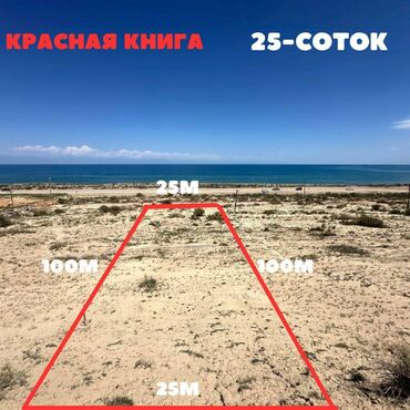 пол участка: 25 соток, Для бизнеса, Красная книга, Договор купли-продажи