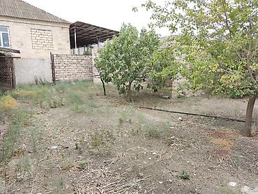 Torpaq sahələrinin satışı: 6 sot, Tikinti, Mülkiyyətçi, Kupça (Çıxarış) — 11
