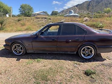 BMW: BMW 5 series: 1993 г., Седан — 7