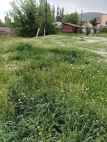 участки на ик: 7 соток, Красная книга — 9