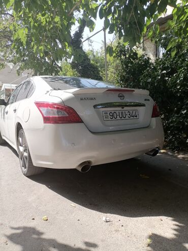 tayota 2010: Nissan Maxima: 3.5 l | 2010 il Sedan