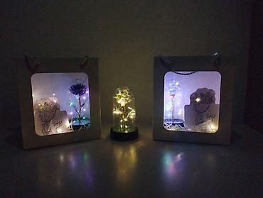 smart light: Светящаяся роза в колбе - Декоративная роза под прозрачным куполом — 2
