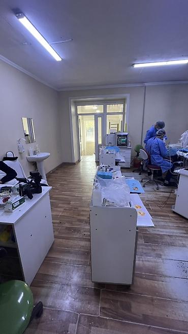 тему офис бишкек: Стоматология борбору, 80 м², 3 бөлмө — 1