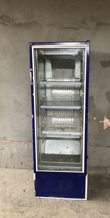 холодильник авто: Муздаткыч Колдонулган, Бир камералуу, 60 * 170 * 130