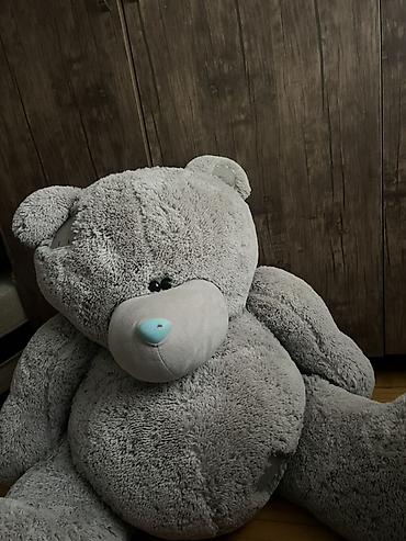 oyuncaq ayi: Böyük ölçülü yumşaq oyuncaq ayı. Boz rəngdədir, ağ ağız hissəsi və — 1