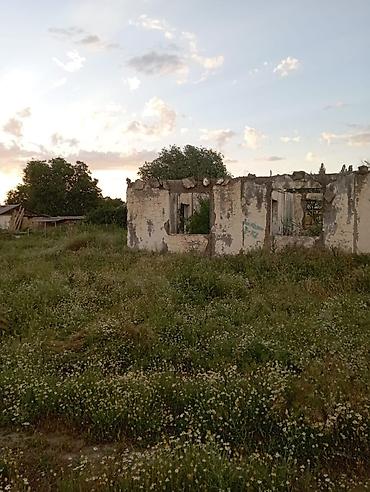 полки в аренду: 6 соток, Для строительства — 3