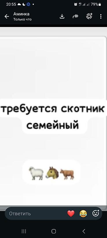 мастер уста: Требуется Скотник, Оплата: Ежемесячно, Обучение — 1