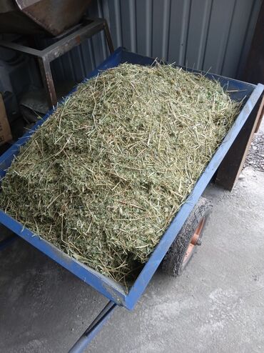 Кормодробилки: Дробилка: Дробилки универсальные Дробилки для сено Дробилки для зерно — 20