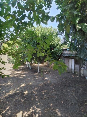 Həyət evləri və villaların satışı: 3 otaqlı, 65 kv. m, Kredit yoxdur, Orta təmir -da lalafo.az — 16 Həyət evləri və villaların satışı: 3 otaqlı, 65 kv. m, Kredit yoxdur, Orta təmir — 16