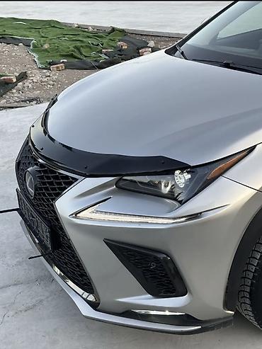 Lexus: Lexus NX: 2018 г., 2.5 л, Гибрид, Кроссовер — 8