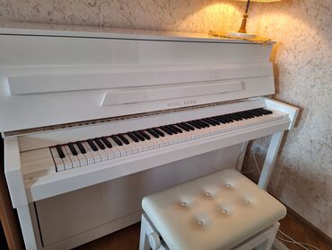 pianino satilir: Piano, Akustik, Yeni, Pulsuz çatdırılma