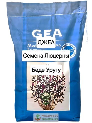 куплю семена люцерны в бишкеке: Уруктар тоют өсүмдүктөрүнүн: Беде, Өзү алып кетүү, Акысыз жеткирүү, Акылуу жеткирүү