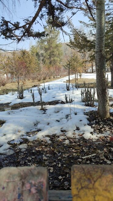 Продажа квартир: 1 комната, 27 м², 104 серия, 1 этаж, Старый ремонт at lalafo.kg — 17 Продажа квартир: 1 комната, 27 м², 104 серия, 1 этаж, Старый ремонт — 17