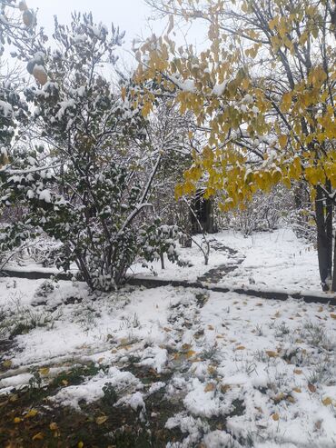 Продажа домов: Дача, 20 м², 1 комната, Собственник, Старый ремонт — 6