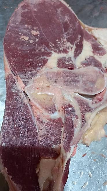 курбан кара: Халал мясо “Мурок” (Бишкек) - Говядина/телятина: конина? На фото — 4