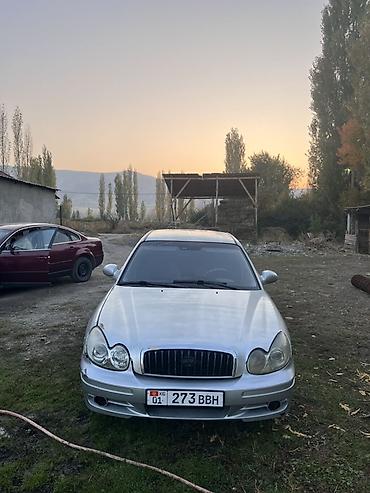 255 50 10: Hyundai Sonata: 2001 г., 2 л, Механика, Бензин, Седан — 3