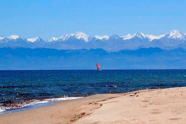 рабочий городок участок: 200 соток, Айыл чарба үчүн, Кызыл китеп