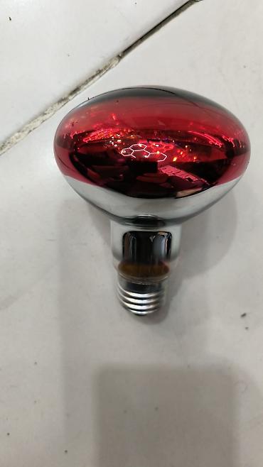 ANIMALAMP Qırmızı İnfraqırmızı Lampa - Gərginlik: 220–230 V - Tip at lalafo.az — 1 ANIMALAMP Qırmızı İnfraqırmızı Lampa - Gərginlik: 220–230 V - Tip — 1