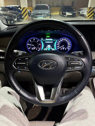 Hyundai: Hyundai Palisade: 2021 г. — 18