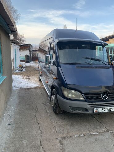 mercedes sprinter 412 2.9 tdi: Автобус, Mercedes-Benz, 2004 г., 2.7 л, 16-21 мест