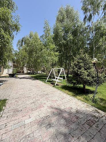 Продажа квартир: 3 комнаты, 50 м², Элитка, 3 этаж, Евроремонт — 14