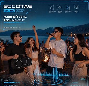 microlab solo 2: Портативная колонка караоке система с двумя микрофонами Eccotae TK-118 — 10
