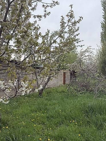 Продажа участков: 8 соток, Для бизнеса — 15