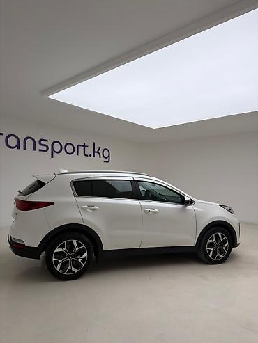 Kia: Kia Sportage: 2019 г., 2 л, Автомат, Дизель, Кроссовер — 4