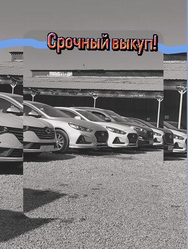 рулевая рейка тайота авенсис: ‼️срочный выкуп авто! разумные цены‼️ —телефон для связи 📞 —ватсап