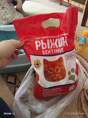 псо кут: Комплект для кошек. Адрес: Аламедин‑1. Туалет для кошек «Сибирская — 10